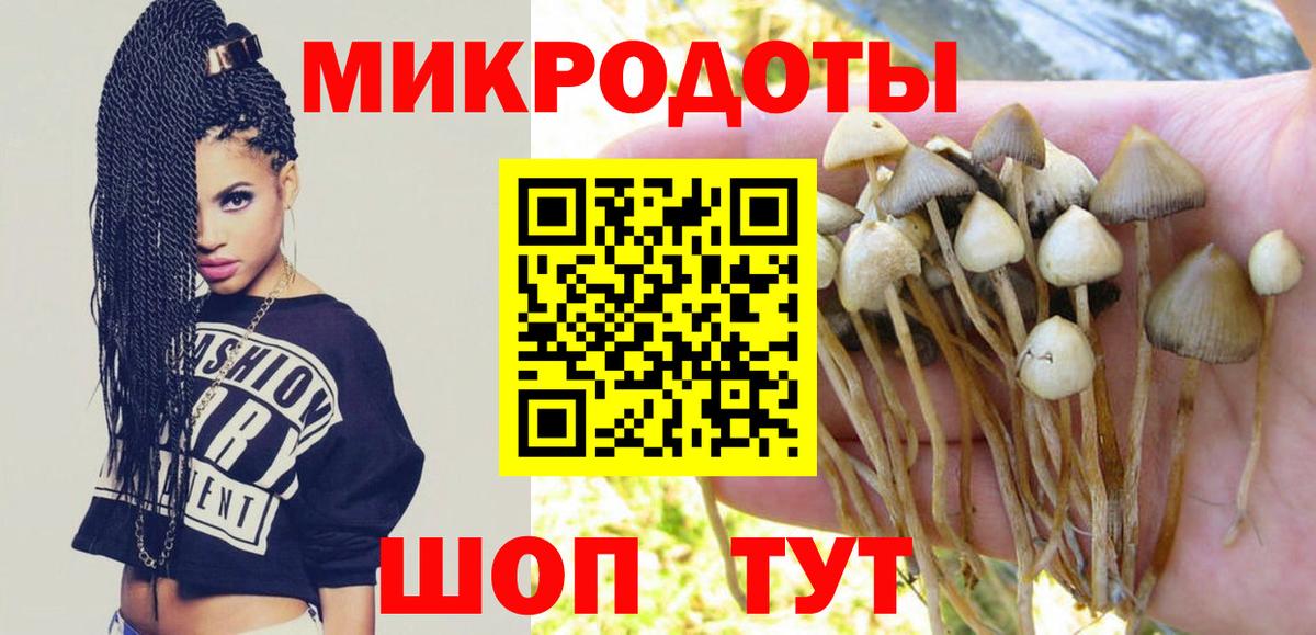 Галлюциногенные грибы Cubensis Киселёвск