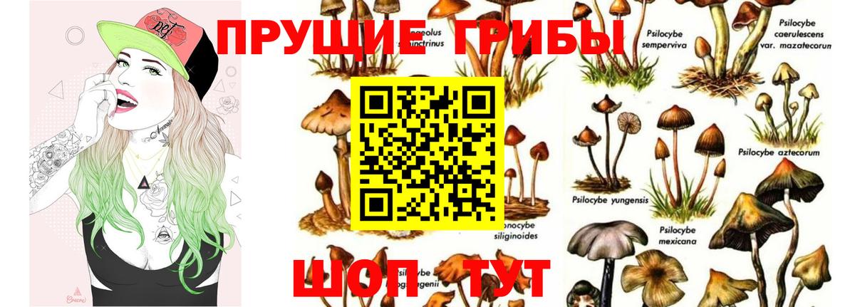 Галлюциногенные грибы мицелий  Вход с VPN  Киселёвск 